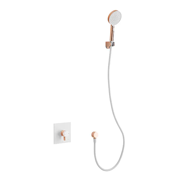 Ducha de Mano con Soporte de Pared